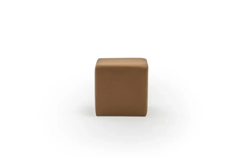 Lotus Puf